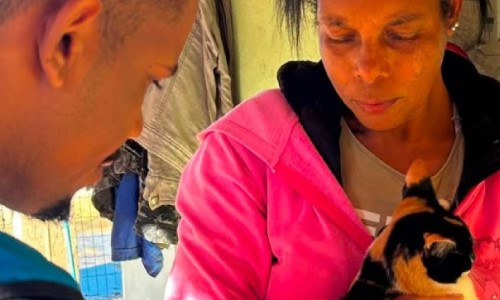 Barra do Piraí: Campanha de vacinação antirrábica chega a nove bairros neste sábado